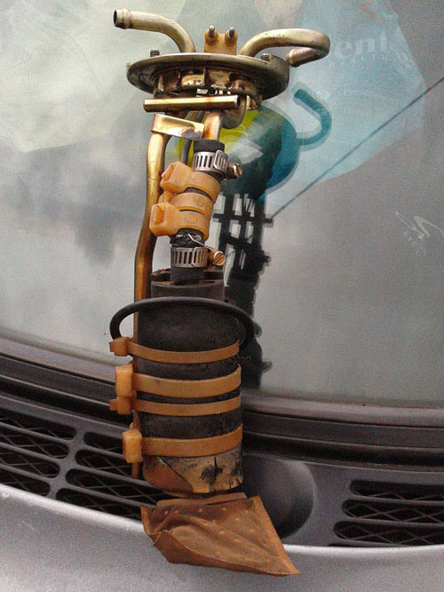 3 years old of modified fp